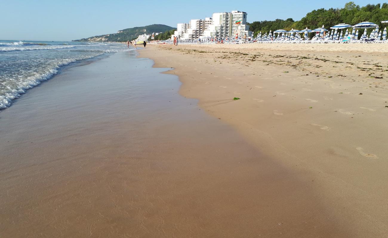 Foto af Albena Strand med lys fint sand overflade