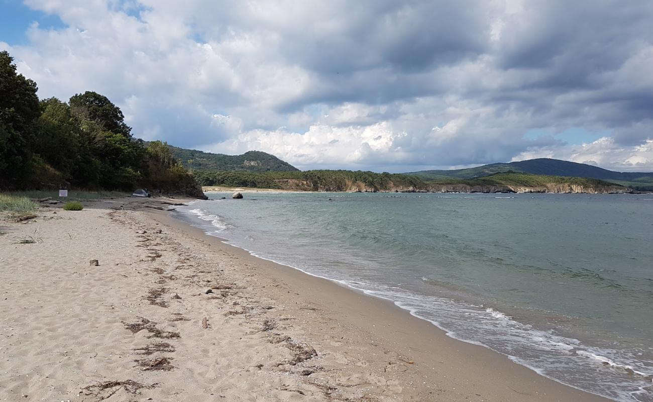 Foto af Ropotamo beach med lys sand overflade