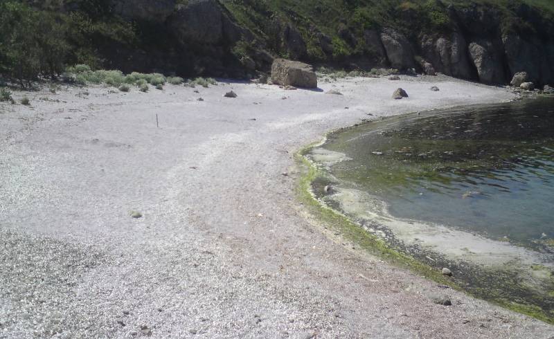 Foto af Perlene plage med let fin sten overflade