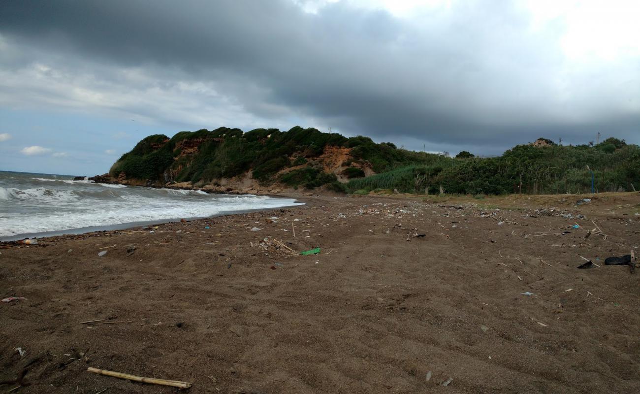 Foto af Plage de Ouled El Belaa med brunt sand overflade