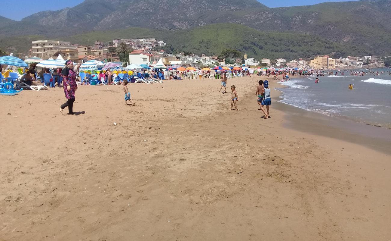 Foto af Chenoua plage med lys sand overflade