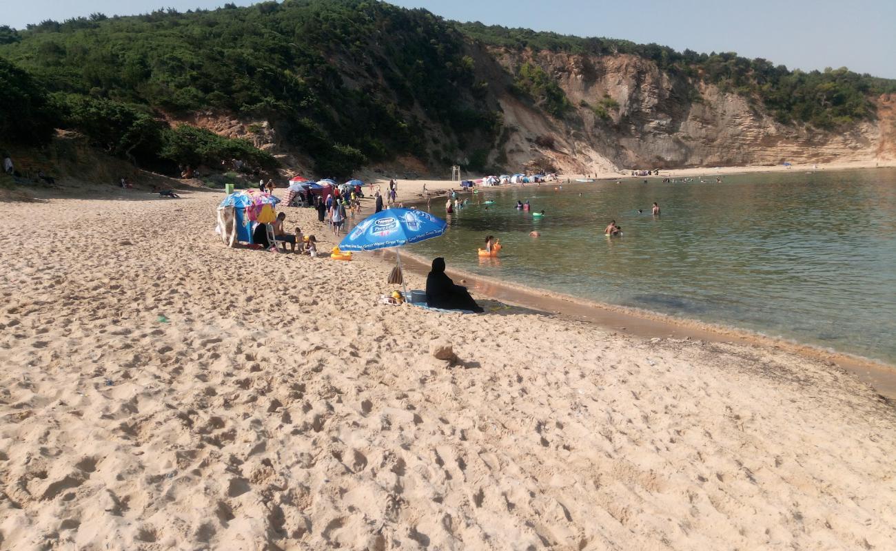 Foto af Plage veille Kale med lys sand overflade