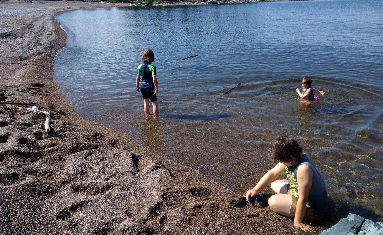 Foto af Government Dock Beach med grå fin sten overflade