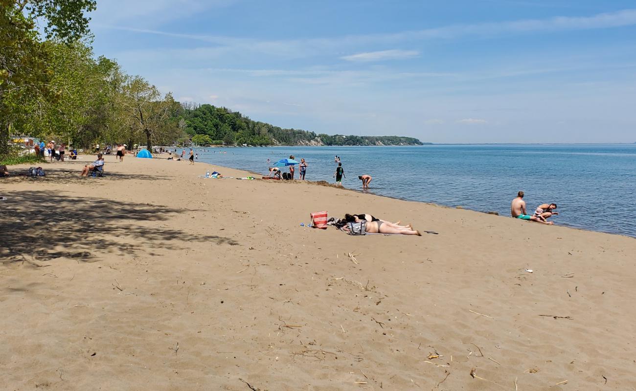 Foto af Turkey Point Beach med lys sand overflade