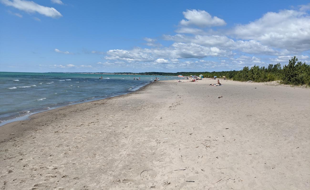 Foto af Dog Beach med lys sand overflade