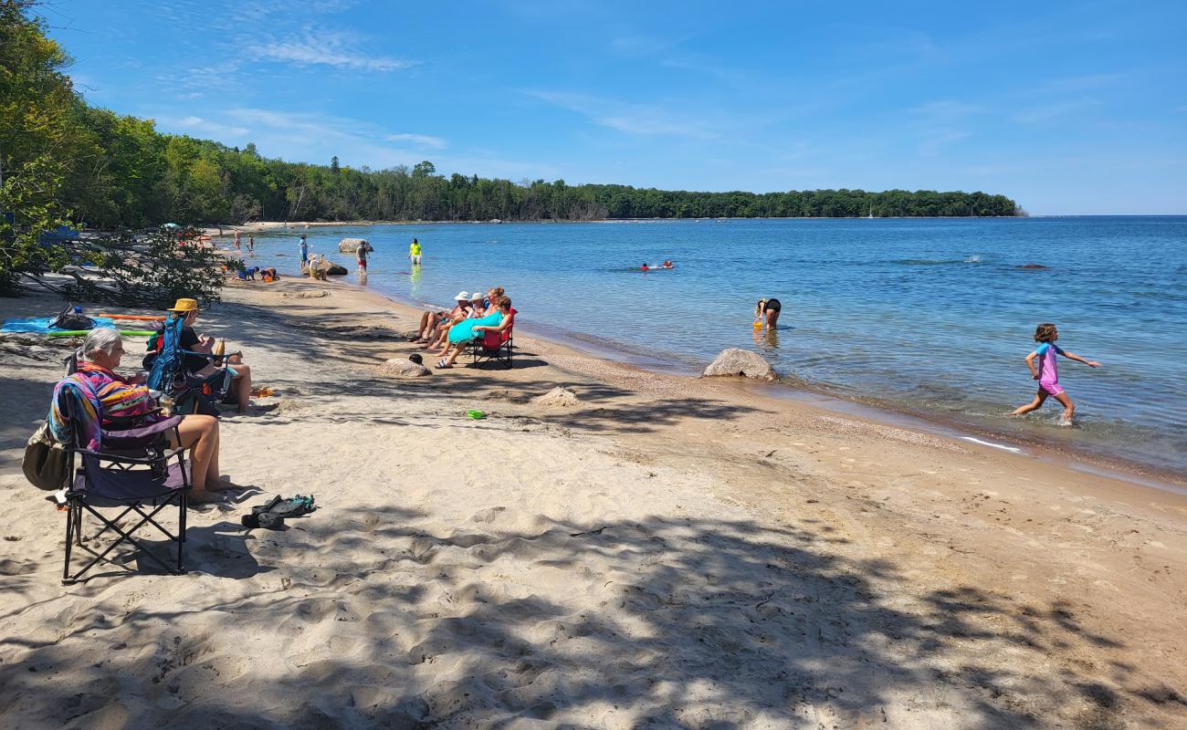 Foto af Awenda Pet Beach Area med grå sand overflade