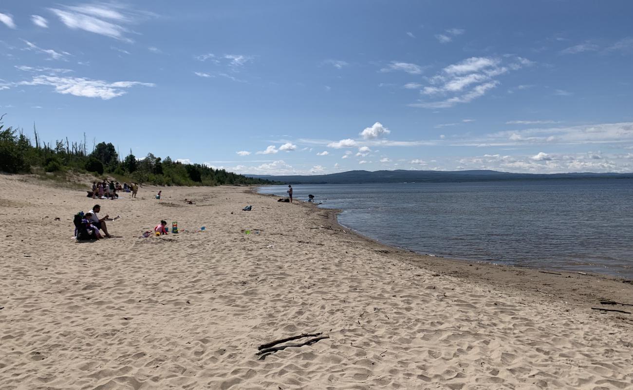 Foto af Devonshire Strand med lys sand overflade