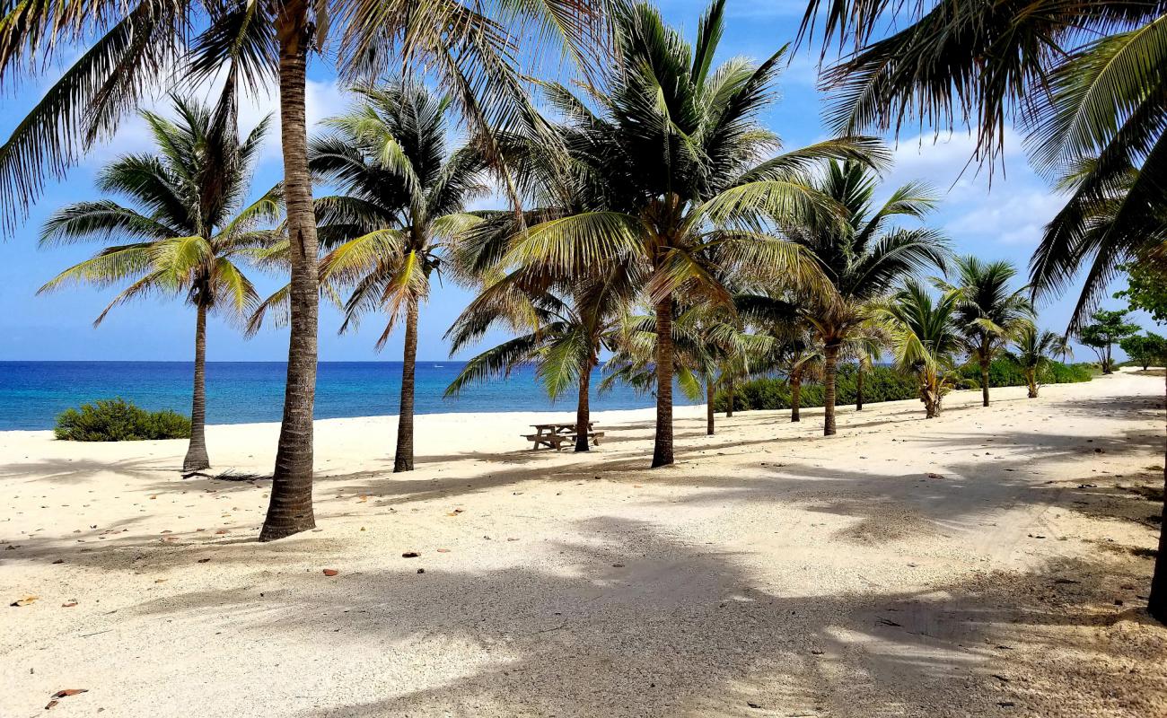 Foto af White Bay beach med lys fint sand overflade