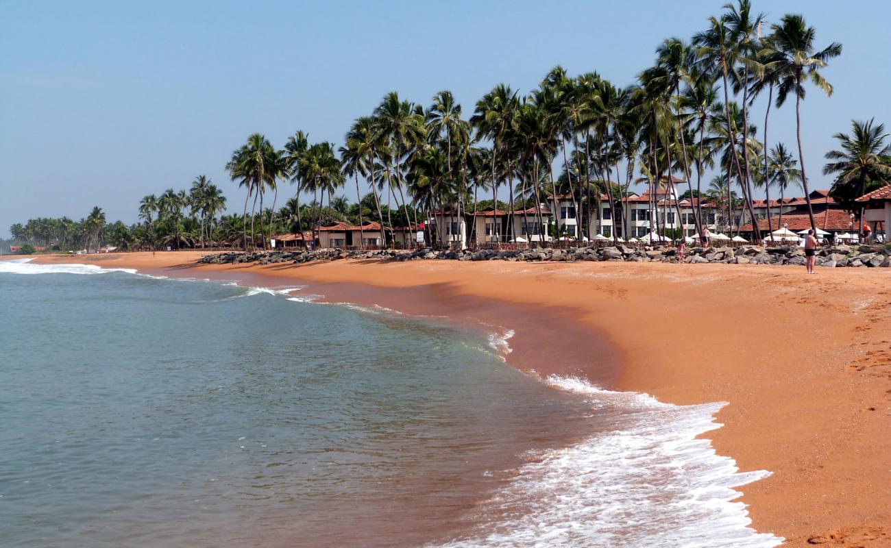 Foto af Dolphin hotel beach med lys sand overflade