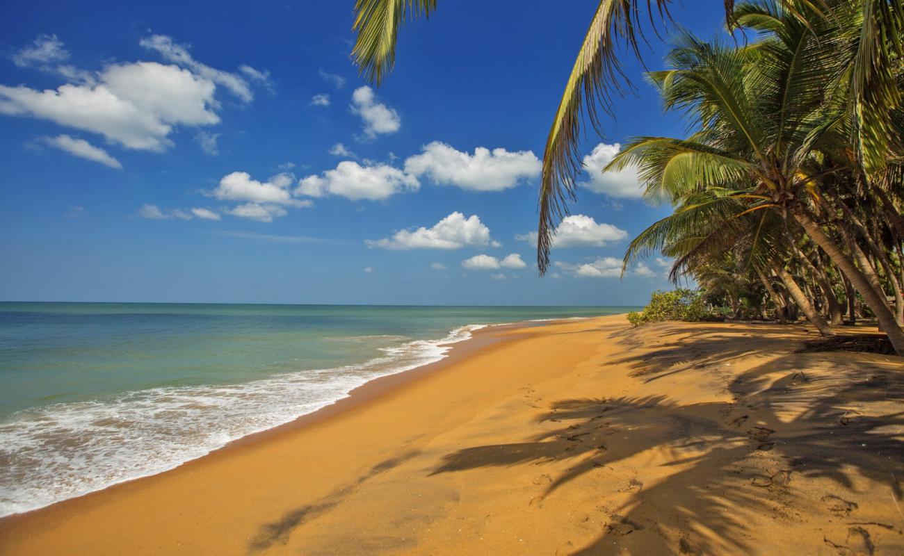 Foto af Marawila beach med lys sand overflade