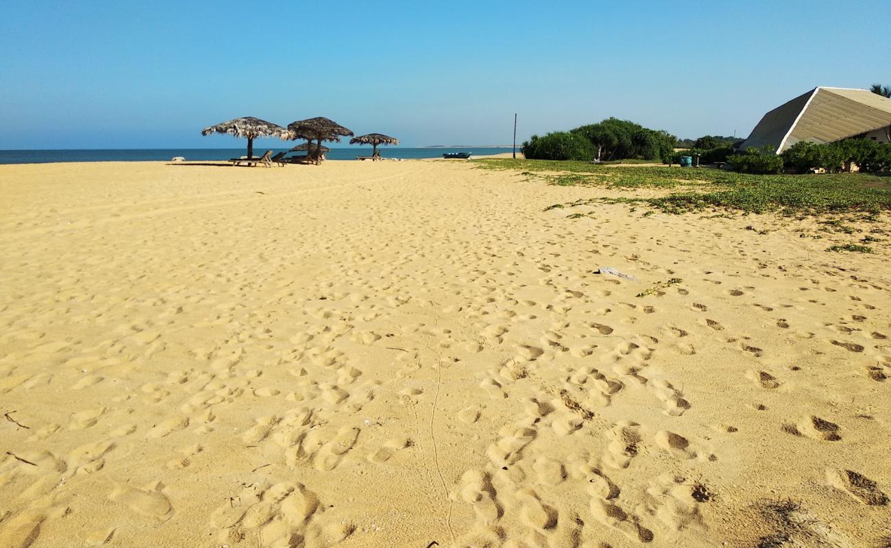 Foto af Thalawila Beach med lys sand overflade