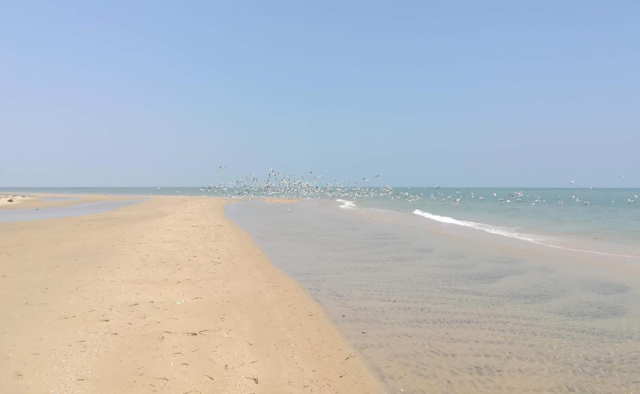 Foto af Talaimannar beach med lys sand overflade