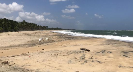 Thirukkovil beach