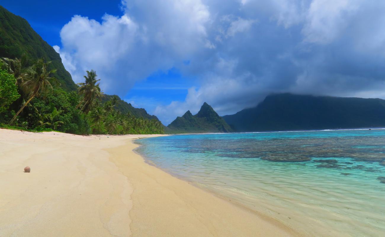 Foto af Ofu Beach med lys sand overflade