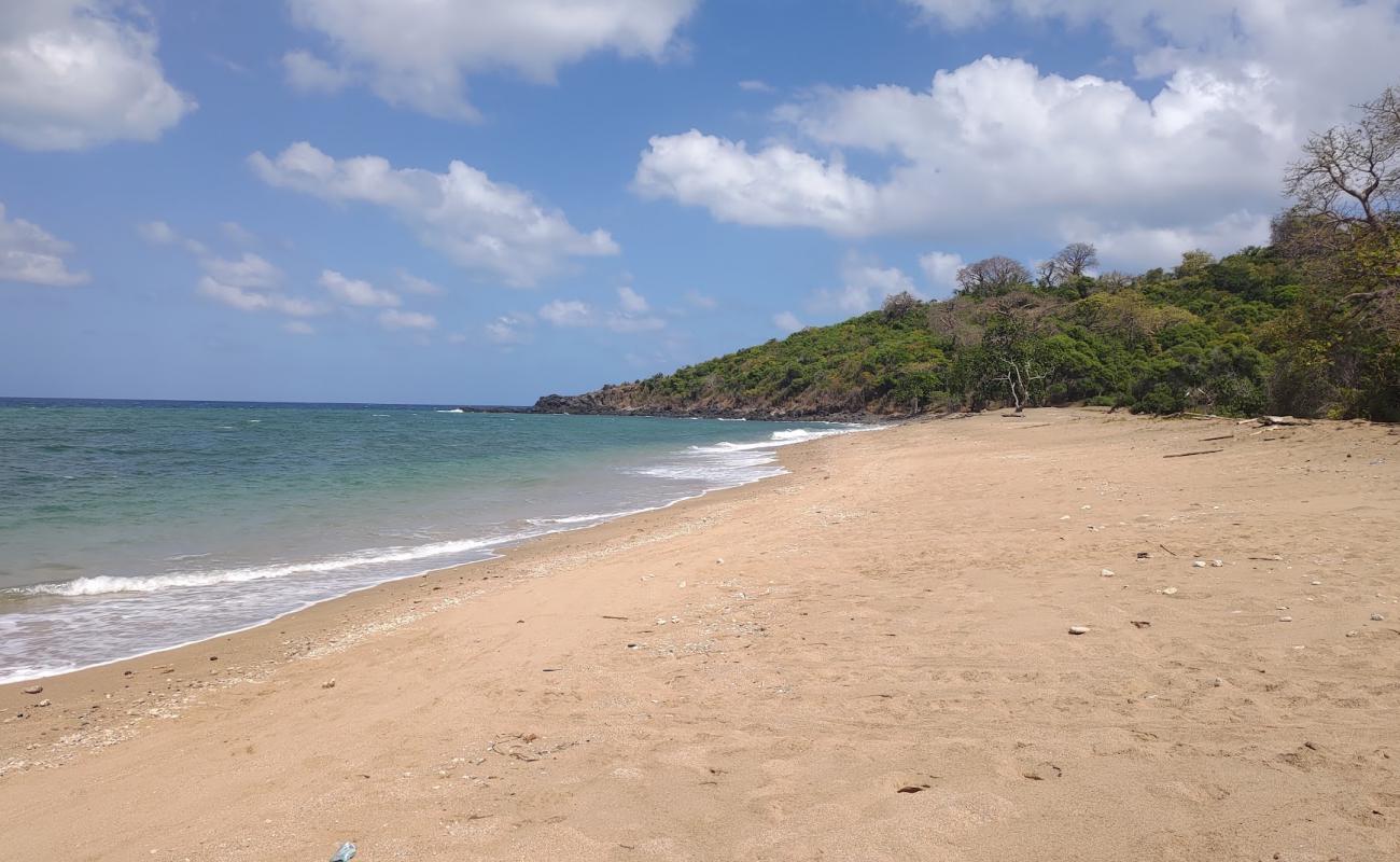 Foto af Mtsanga Kolo Batsoumou Beach med brunt sand overflade