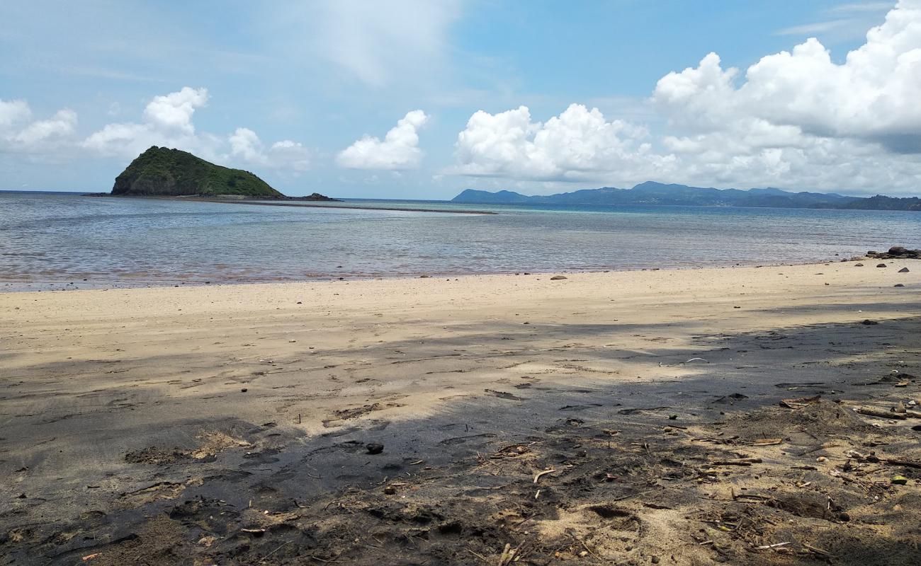 Foto af M'tsaga mtiti Beach med lys sand overflade