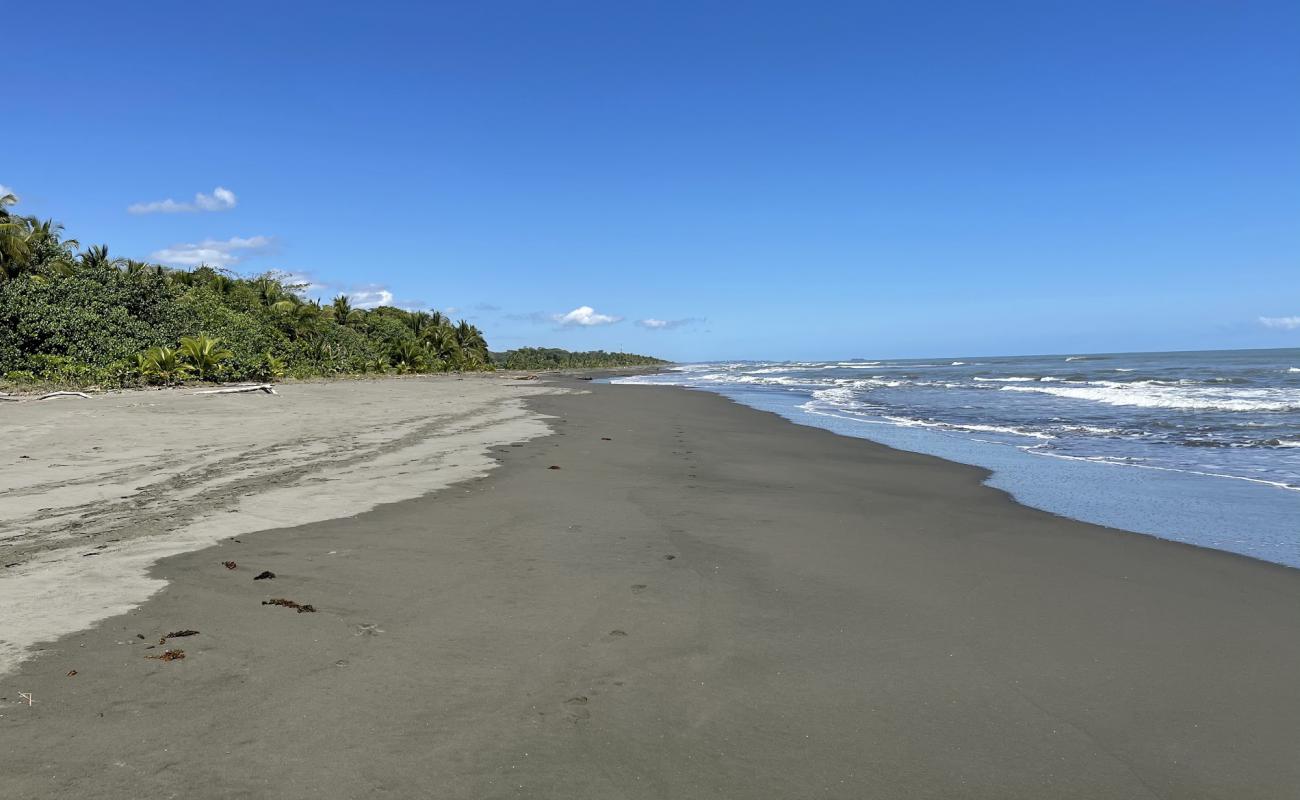 Foto af Palmeras beach med grå sand overflade