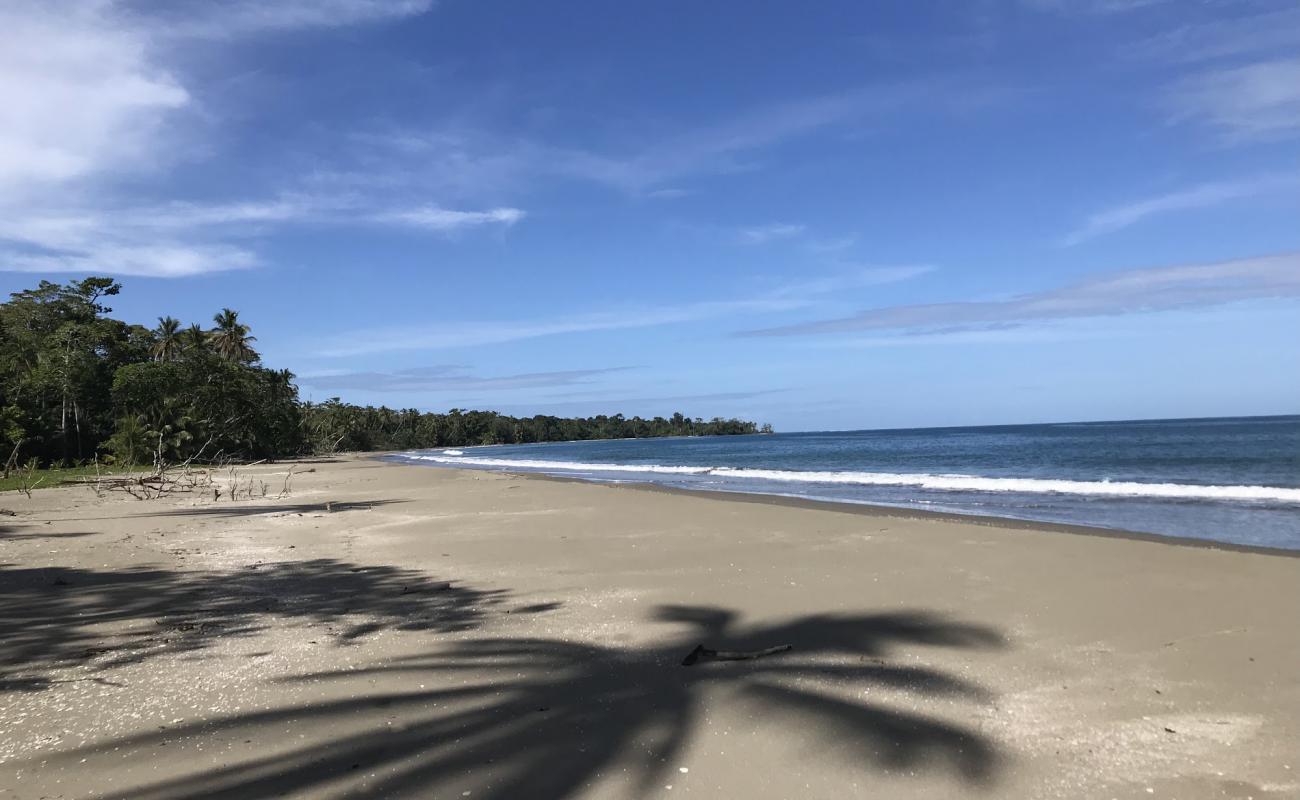 Foto af Puerto Vargas med lys sand overflade