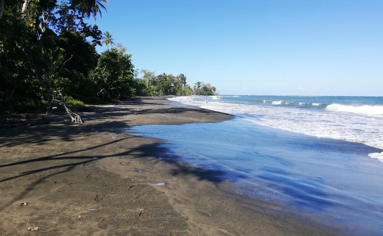 Foto af Puerto Viejo beach med lys sand overflade