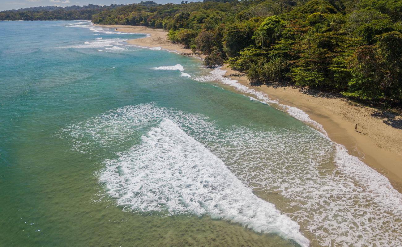 Foto af Cocles beach med lys sand overflade