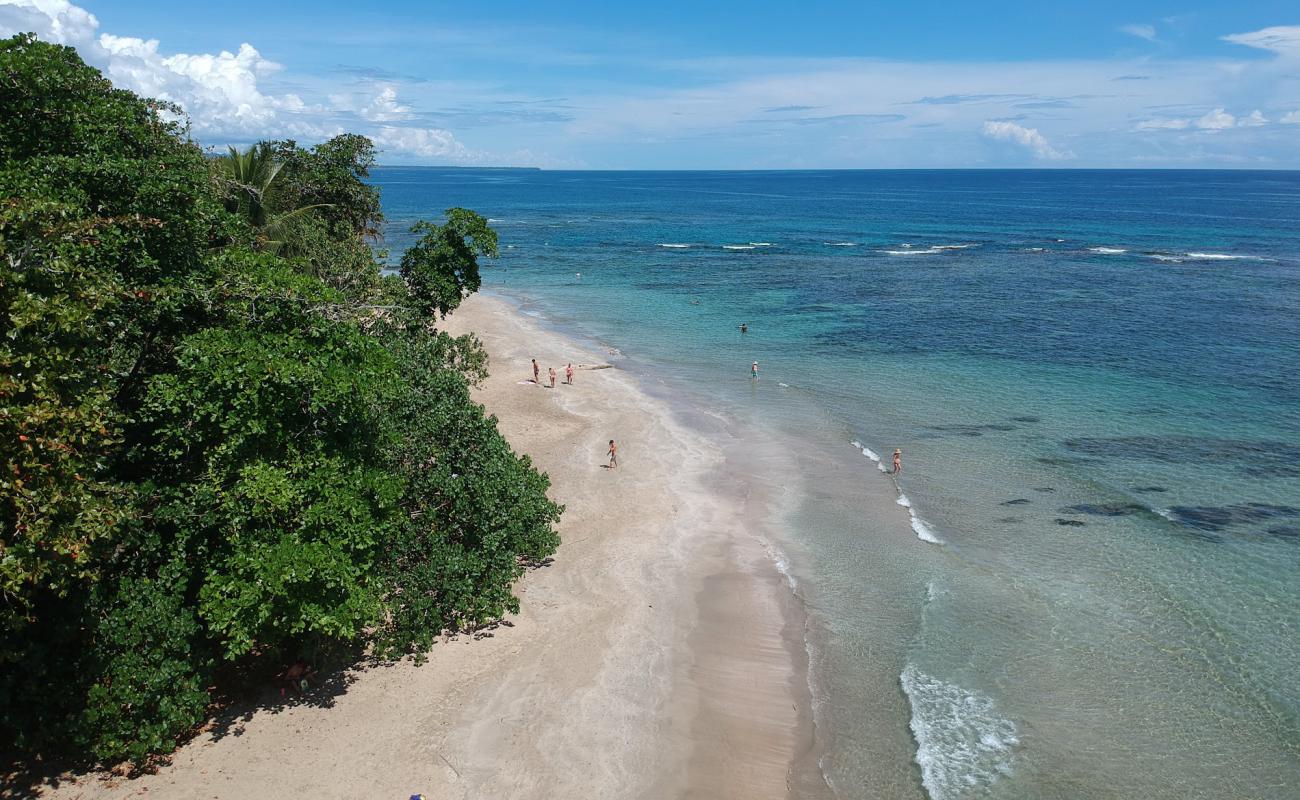 Foto af Escondida beach med lys sand overflade