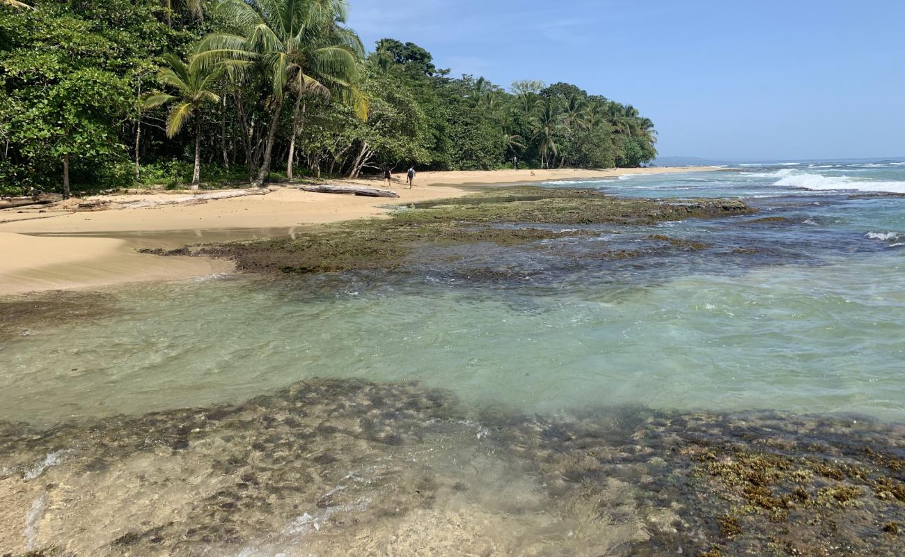 Foto af Chiquita beach med lys sand overflade