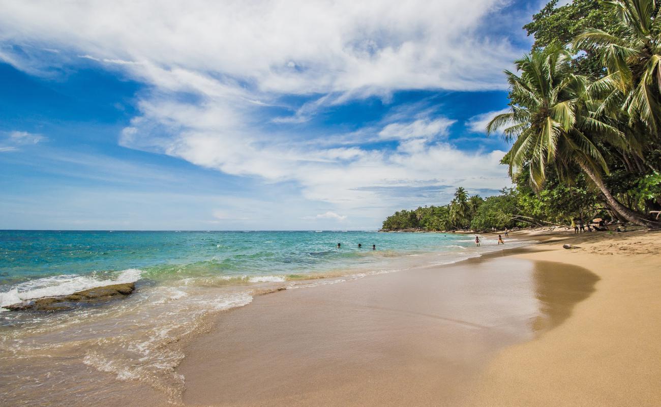 Foto af Punta Uva beach med lys fint sand overflade