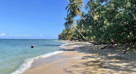 Stranden Punta Uva II