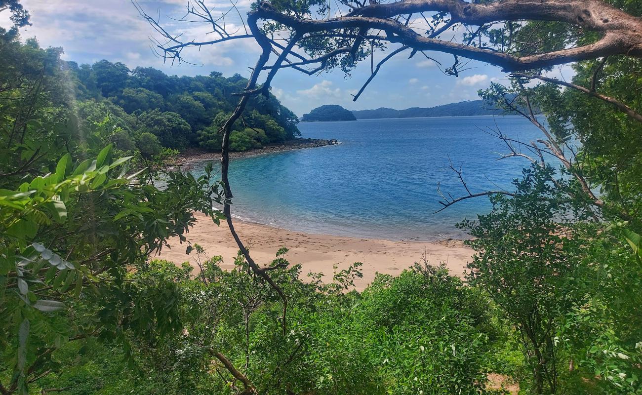 Foto af Macaya beach med lys sand overflade