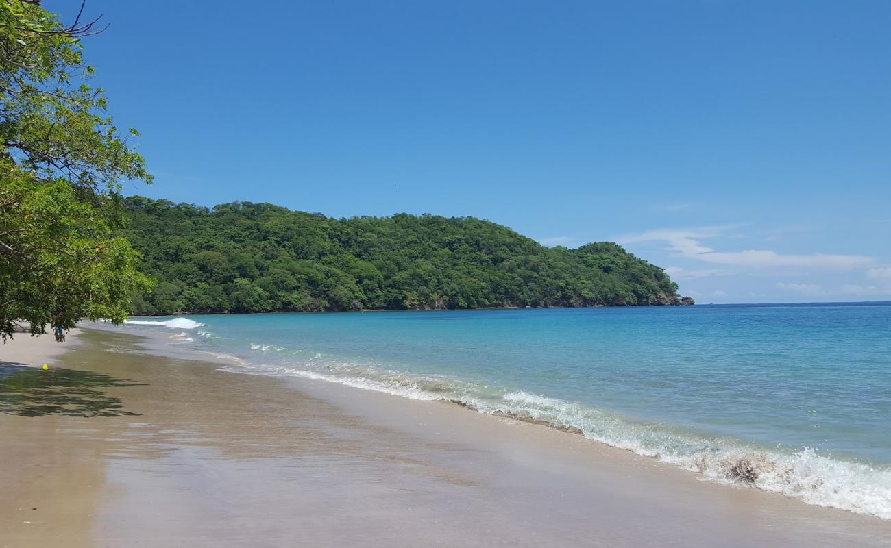 Foto af Puerto Viejo med lys sand overflade