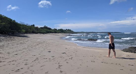 Playa Langosta