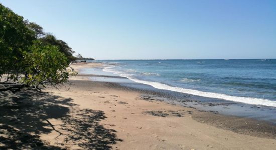 Playa Lagartillo