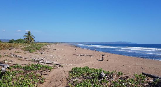 Playa Ario