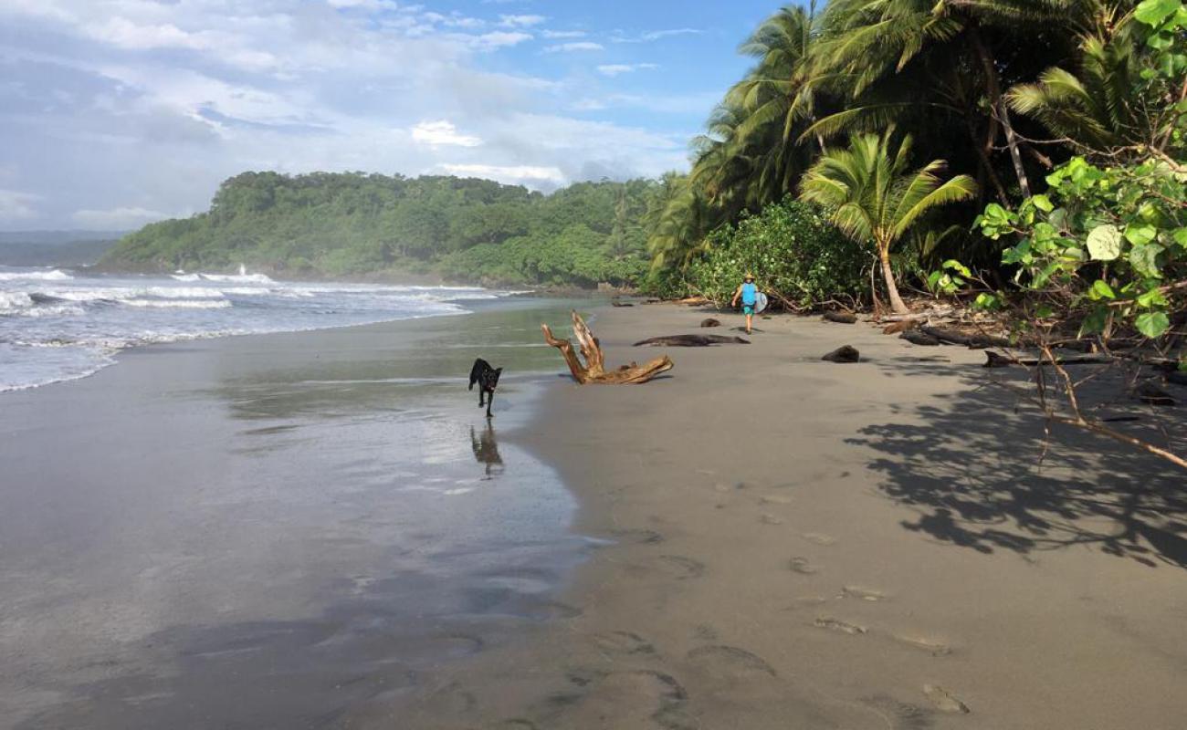 Foto af Playa Grande med lys sand overflade