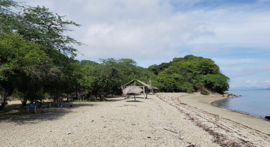 Playa Albina