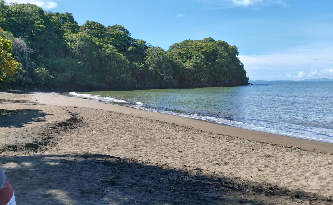 Foto af Playas De Dona Ana med brunt sand overflade