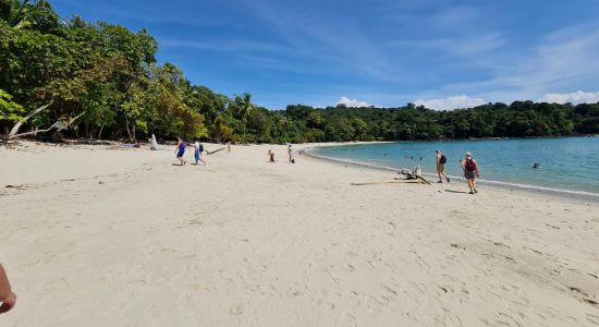 Playa Manuel Antonio