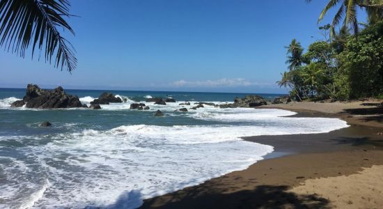 Punta Marenco Lodge