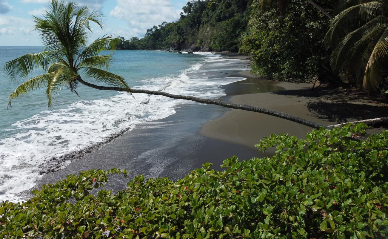 Foto af Playa San Pedrillo med brunt sand overflade