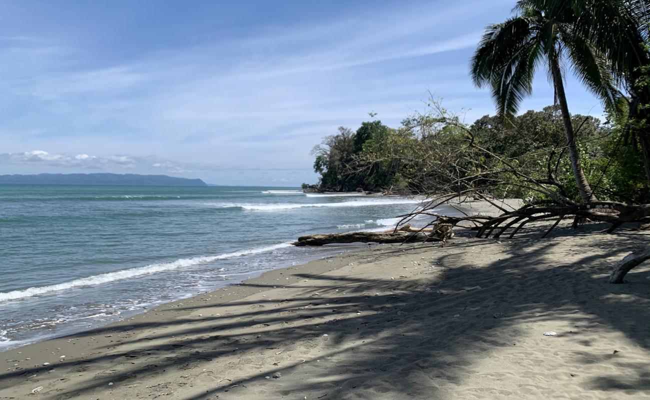 Foto af Playa Matapalo med brunt sand overflade