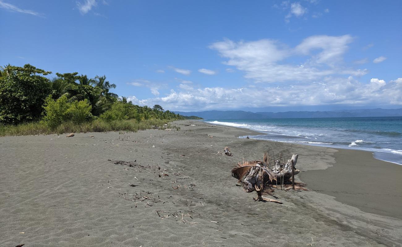 Foto af Playa Platanares med brunt sand overflade