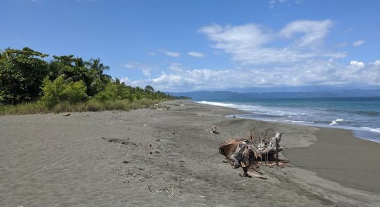 Playa Platanares