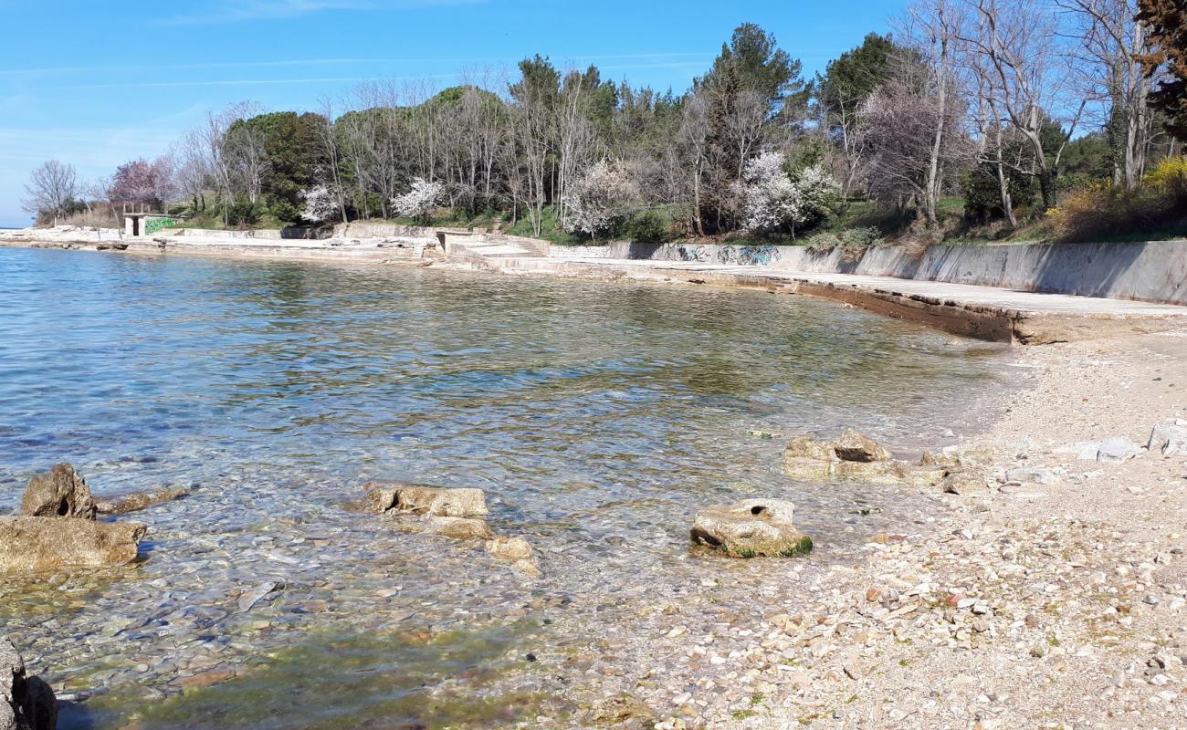 Foto af Savudrija beach med sten overflade