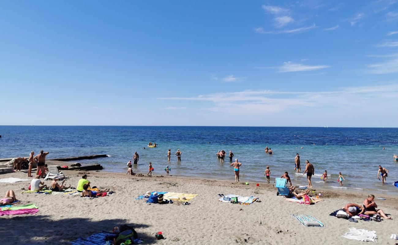 Foto af Umag Sandy beach med betonovertræk overflade