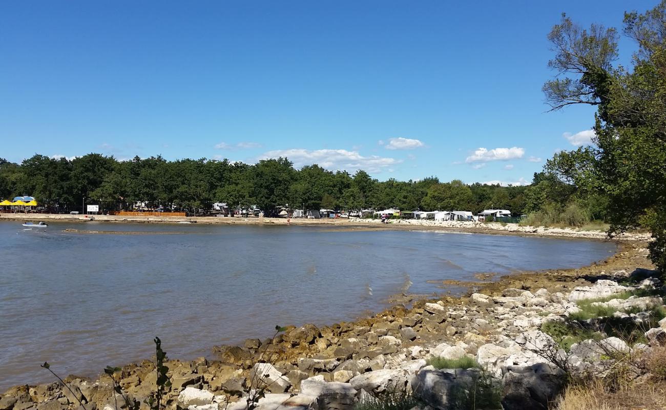 Foto af Potocina beach med sten overflade