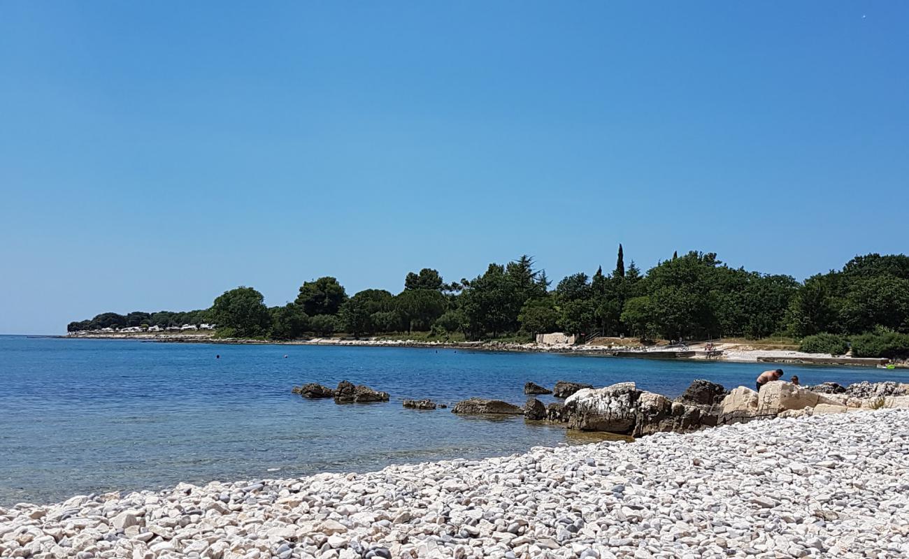 Foto af Saladinka beach med sten overflade