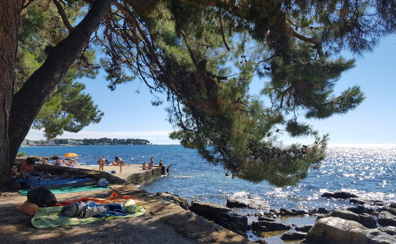 Foto af Porec hotel beach med betonovertræk overflade