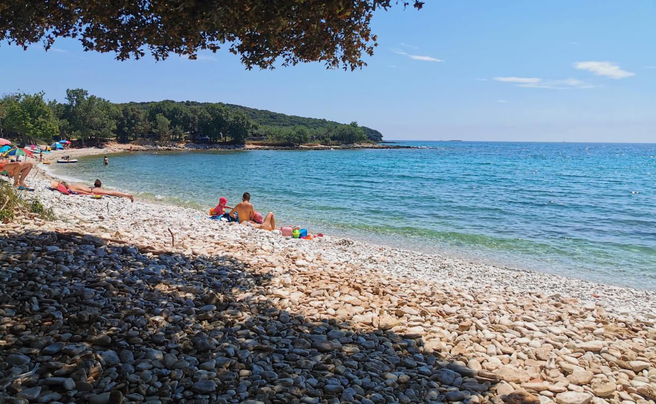 Foto af Cisterna strand med hvid sten overflade