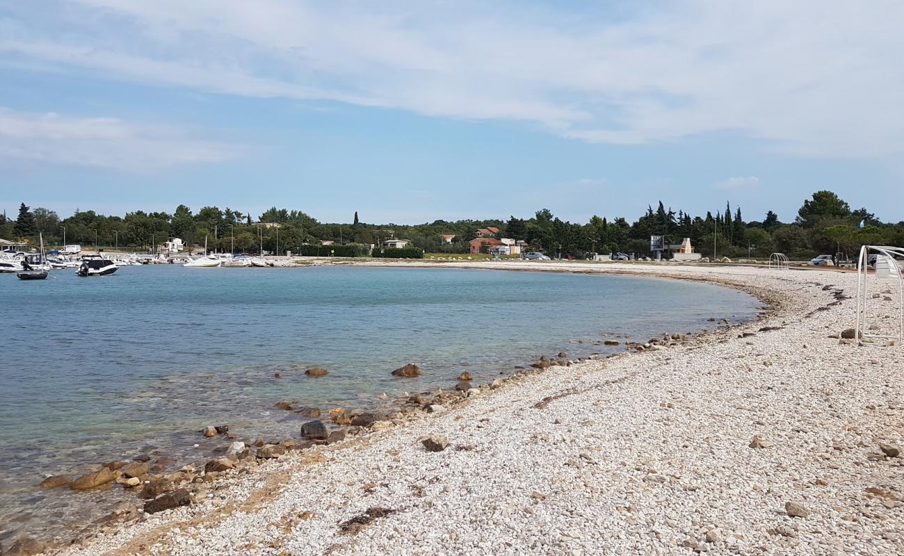 Foto af Portic beach med sten overflade