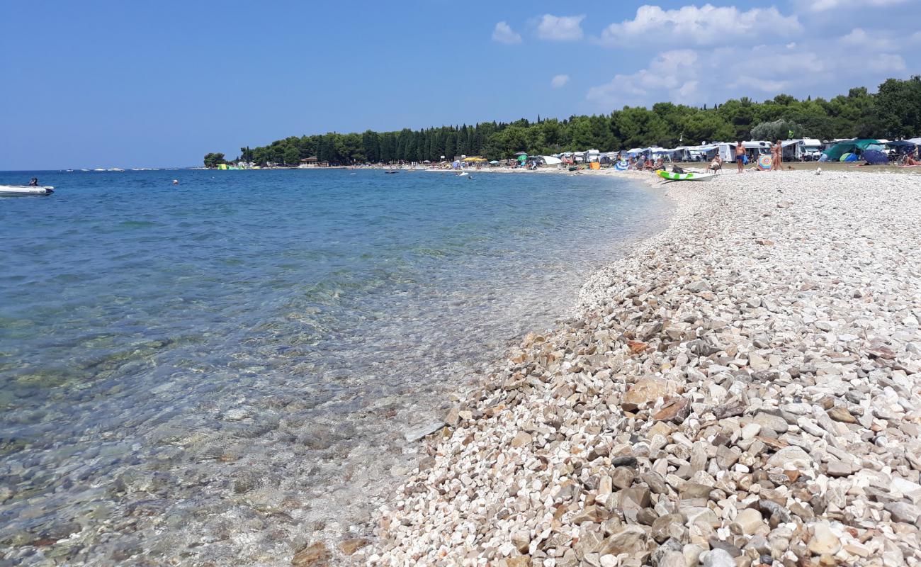 Foto af AC Pineta beach med let sten overflade